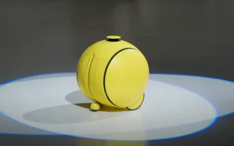 关于CES 2024上的奇特产品