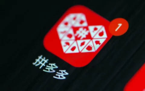 任泽平发文五问拼多多：纵容小偷、假货横行