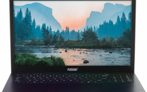 Fusion5 S15 N2 15.6英寸笔记本在美国亚马逊可以省100美元，仅售300美元！