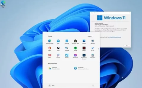 如何解决Windows 11屏幕亮度锁定问题？