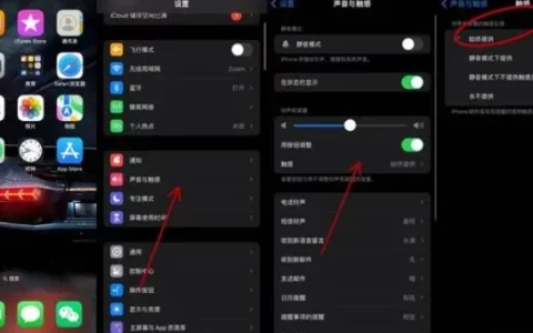 Apple苹果iPhone13怎么没有震动？这样设置即可