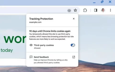 谷歌放宽Google Chrome浏览器第三方Cookie禁令：延缓至今年12月底