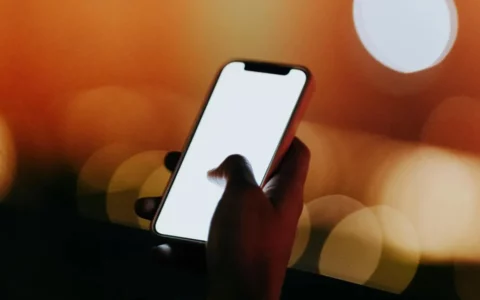 苹果Apple发布iOS 17.3和iPadOS 17.3 引入“被盗设备保护”功能