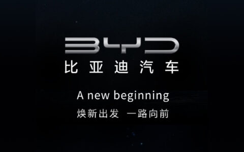 比亚迪BYD创历史最好业绩，股价却腰斩：投资者能否“抄底”？