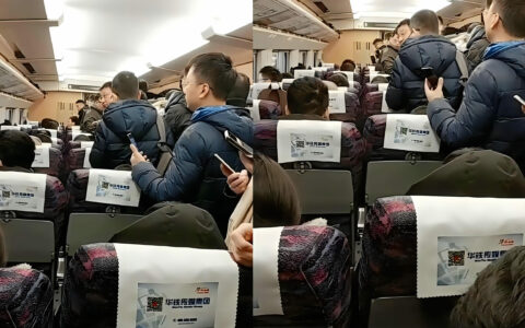 高铁超载警报触发：无票旅客被请下车，12306回应“不建议买短补长”