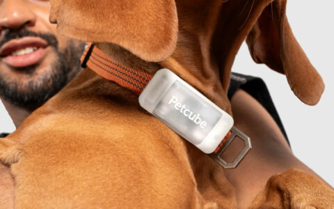 Petcube推出新型宠物GPS追踪器：实时定位、健康监测，价格亲民