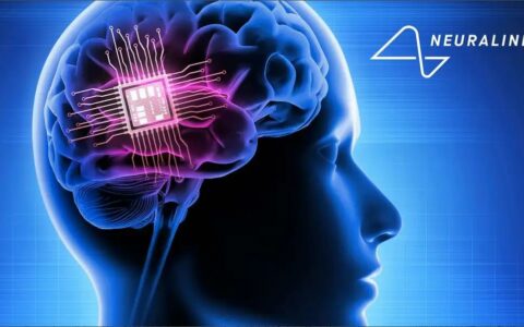 Neuralink脑植入芯片技术突破 但安全性与透明度引质疑
