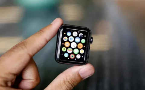 苹果Apple watchOS 10.4 RC更新发布：新增Emoji表情、优化通知功能