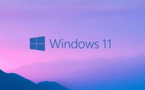 Windows 11安装遇阻：微软要求联网验证引争议