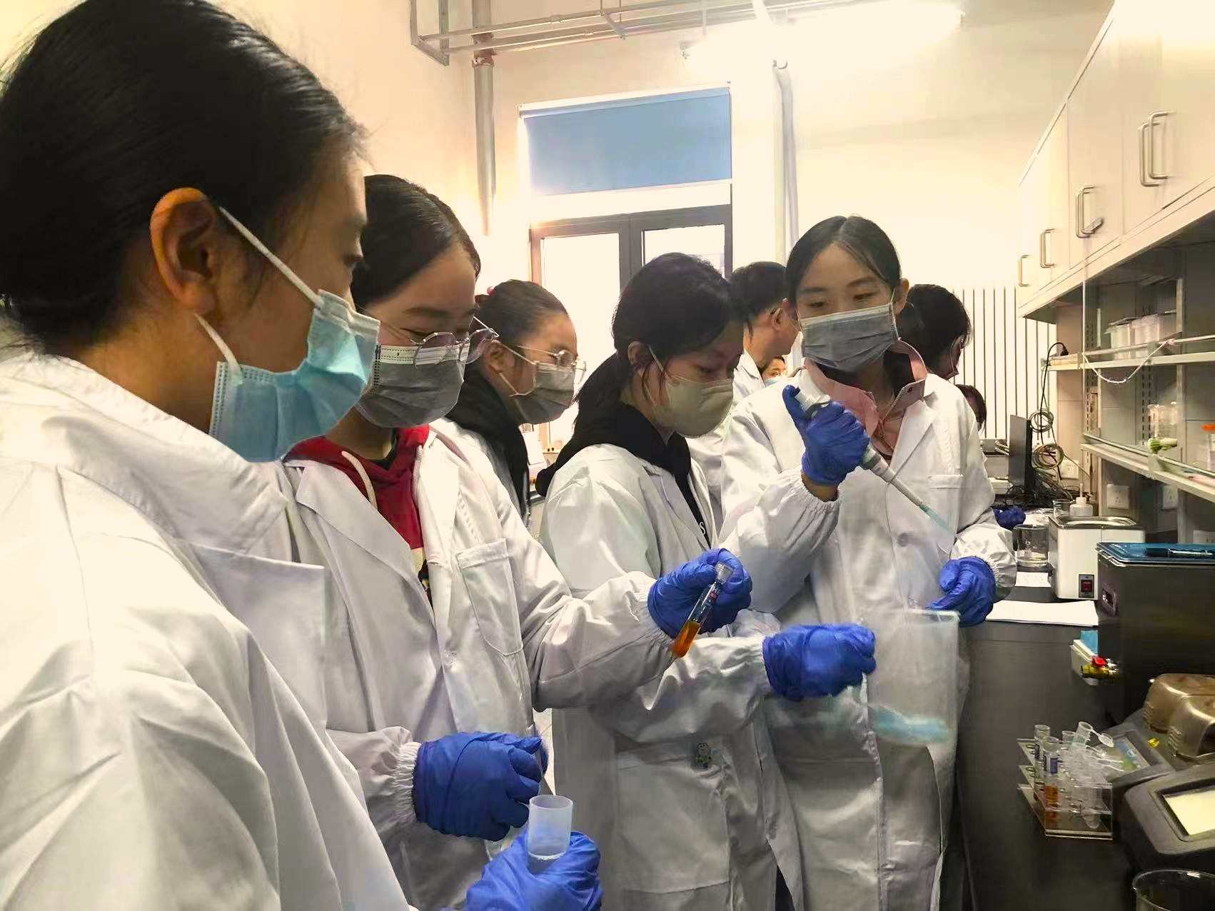 探索科技，塑造未来：三星STEM GIRLS培养女性科研新秀