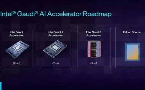 英特尔Intel AI战略大揭秘：全新加速器来袭，中国市场定制版蓄势待发！