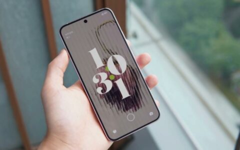 小米15标准版配置曝光：骁龙8 Gen 4处理器、低功耗大电池引期待