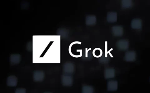 马斯克旗下xAI发布超3000亿参数大模型Grok-1，开源之举引发热议
