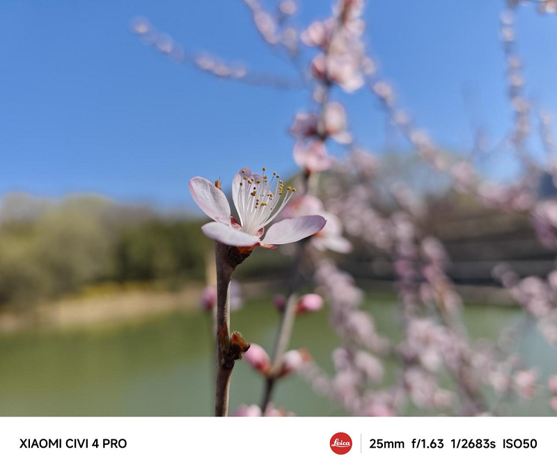 实测小米 Civi 4 Pro ：徕卡加持打造更具人文感的“大师人像”