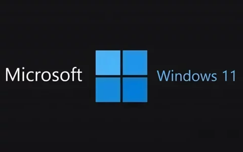 微软推出WSL图形用户界面，简化Linux发行版管理