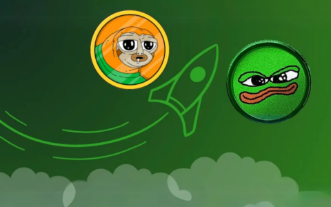 复盘BOME和SLERF带动的Solana Memecoin热潮