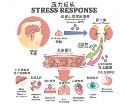 为情所“困”太久的人，应该怎么走出来？