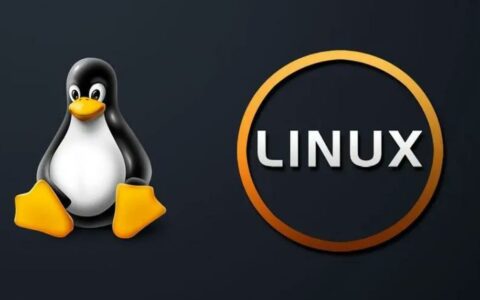 Linux 6.9-rc2发布：AMD Zen系列修复及性能优化引关注
