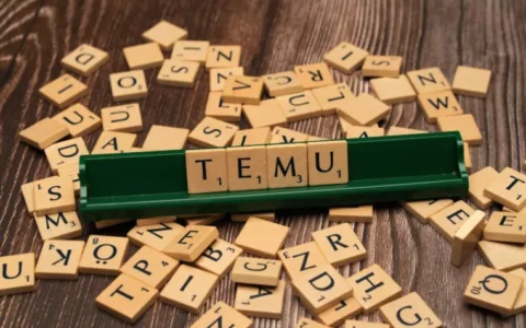 Temu出海成绩单出炉   优秀业绩成拼多多集团第二增长曲线
