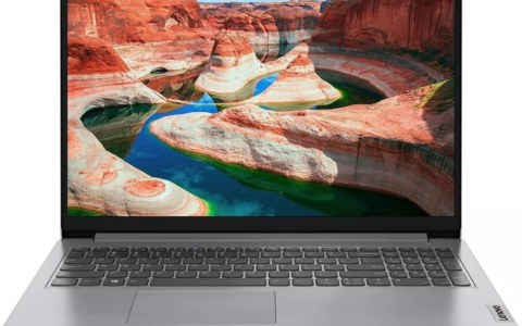 Lenovo Ideapad 1i 15.6英寸笔记本电脑：美国Bestbuy独家优惠，现价349.99美元，立省150美元！
