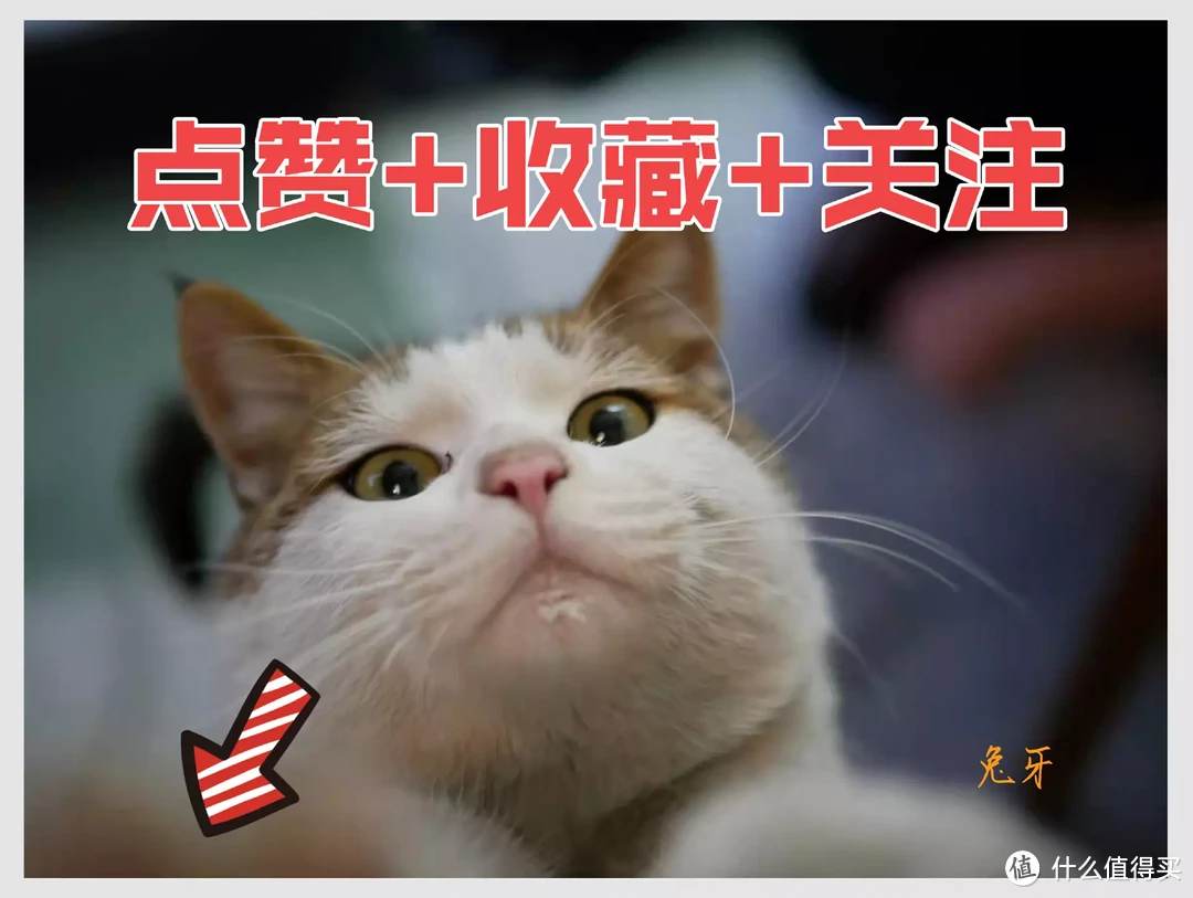 预算3K能买到啥样的手机？连续使用2个月一加ACE3，聊聊我的使用感受