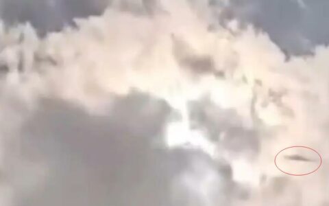 美国日全食现ufo飞行物，网友热议其真实身份