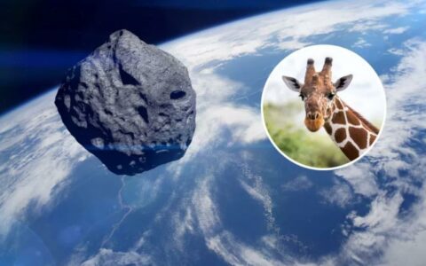 小行星2024 GJ2将掠过地球，距离比月球更近