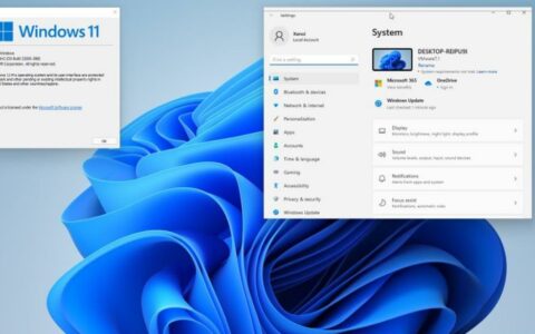 微软发布Win11 Beta预览版，开始菜单个人资料卡焕新登场