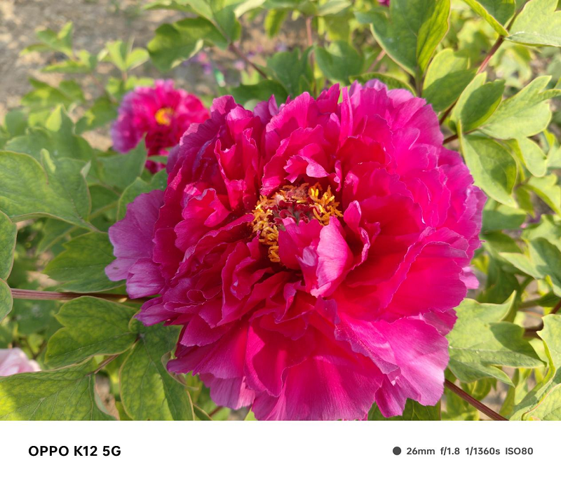 实测OPPO K12：打造“百瓦闪充”新王者