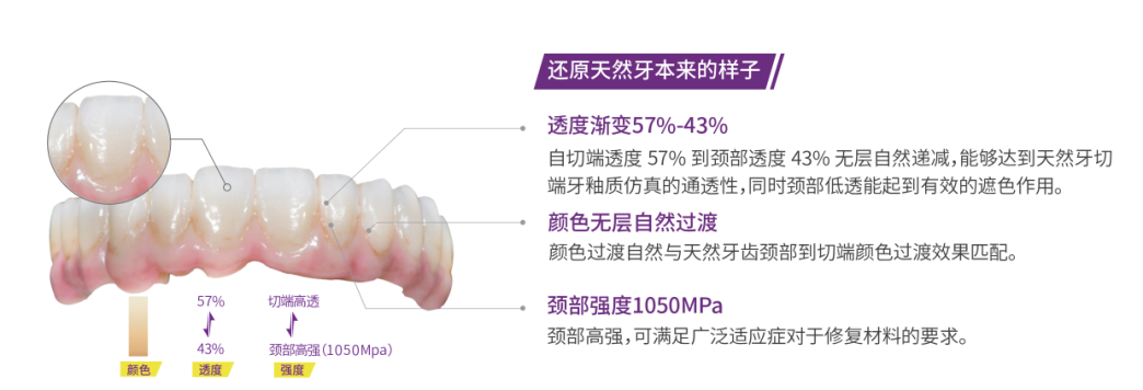 如图片无法显示，请刷新页面