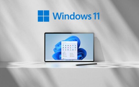 微软Win11预览版更新：设置应用新增直观备份日期显示