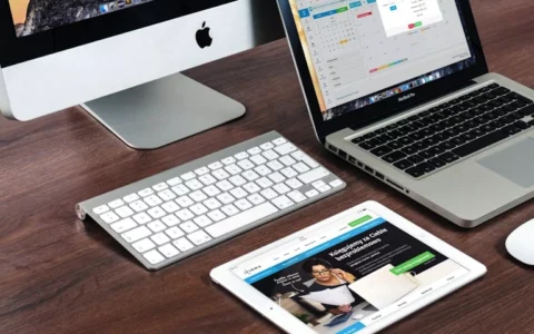 苹果 iPad 被欧盟要求遵循 iPhone 监管策略  Epic 宣布《堡垒之夜》将回归 iOS 平台