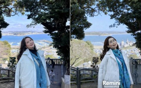 Remini粘土滤镜使用技巧：打造独特且有趣的图片效果