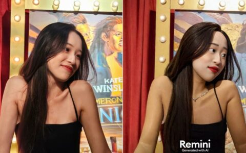 Remini黏土滤镜怎么用？让你的照片瞬间变身黏土艺术！