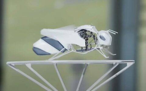 全球最小仿生飞行器BionicBee亮相：精准模拟蜜蜂飞行，引领无人机技术新潮流