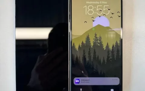 iPhone 16 Pro Max机模近距离对比，尺寸的确很大