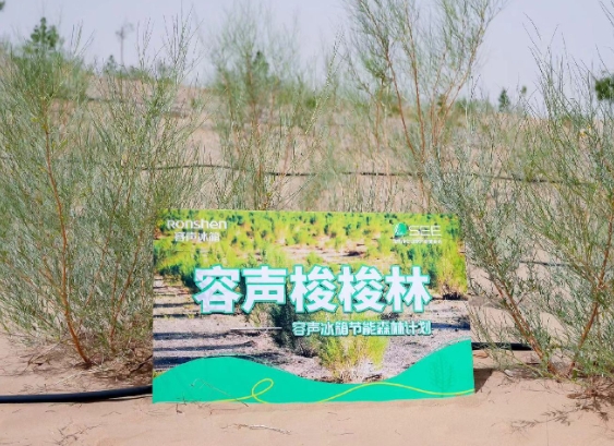 从冰箱到森林，容声冰箱收获低碳发展下的用户赋能