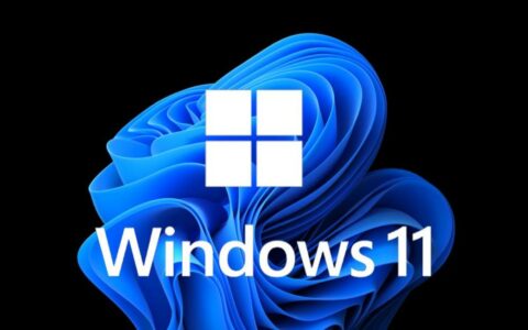 微软调整Win11 IoT LTSC配置要求：TPM 2.0成可选项