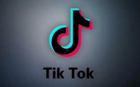 TikTok回应开发独立算法传闻：称报道“误导且不准确”