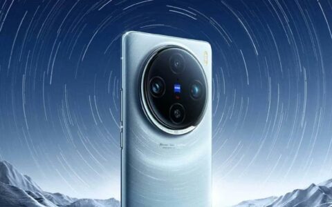 vivo X100 Ultra  AI智能识别功能准确度引热议    疑将石狮子识别为小狗