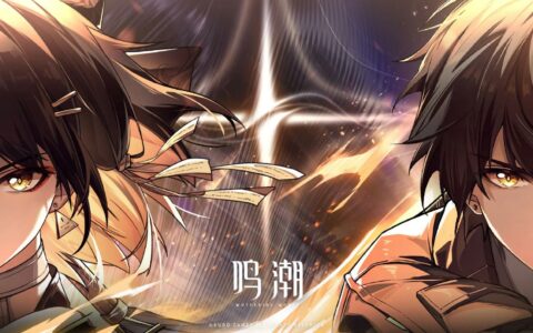 《鳴潮》武器选择攻略：详细解析与推荐