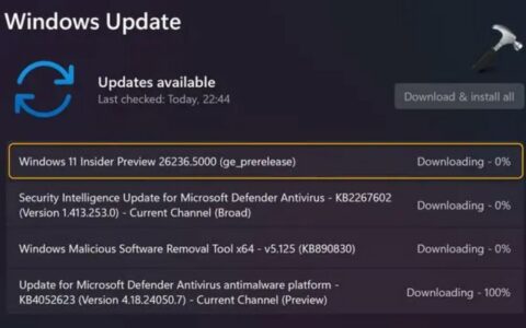 微软暂停Win11 Dev频道新功能测试