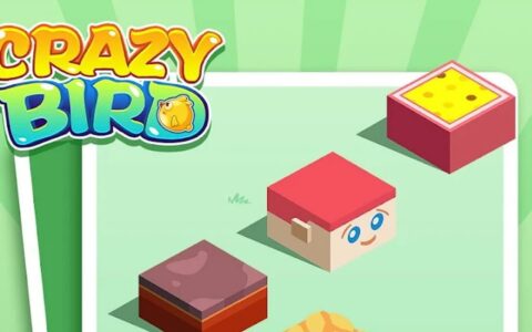 Crazy Bird-Casual Game全面攻略：新手轻松上手指南