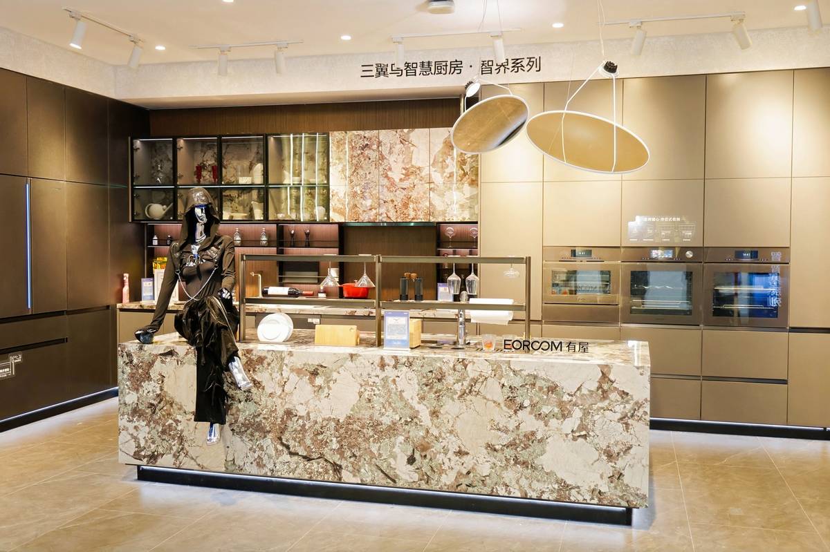 三翼鸟：走出第一步，也走好每一步