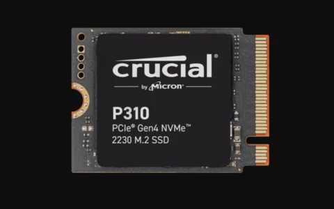 英睿达发布全球最快M.2 2230迷你版消费级SSD 英睿达P310狂飙7.1GB/s