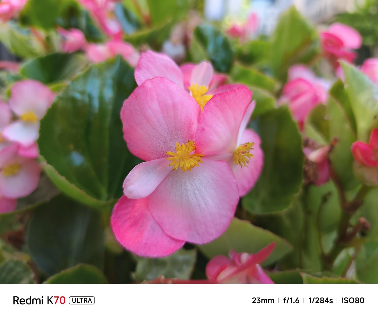实测Redmi K70至尊版：实力强悍的性能新王者