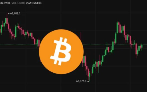 拜登退选庆祝潮：美股四大指数齐扬，英伟达大涨4%、台积电ADR反弹，比特币突破6.8万美元