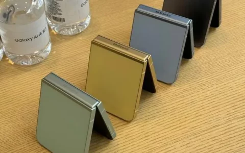 三星 z flip6评测：是美丽还是小废物？2分钟给你答案