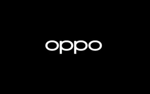 OPPO前高管吐槽百度“太邪性”：点真我官网链接 跳转第三方广告平台