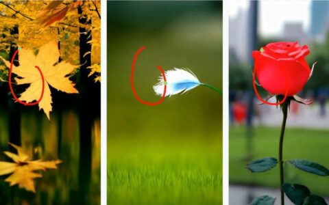 阿里发布AI视频生成框架Tora：画圈操控物体运动轨迹